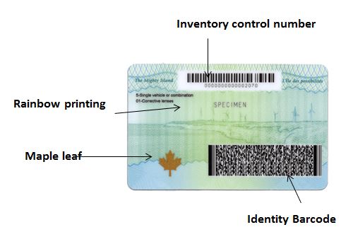 New photo ID card with security features labelled as follows: inventory control number; identity barcode; Maple leaf and rainbow printing