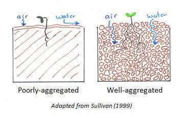 Two line drawings that illustrate poorly-aggregated soil and well-aggregated soil. The well-aggregated soil has spaces (or pores) between the aggregates which allows water and air to move through the soil. The poorly-aggregated soil does not and thus water runs off instead of being absorbed. 