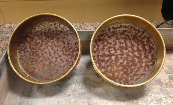 Soil sieve pans showing soil caught on the screen