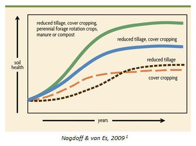 A line graph that illustrates the positive impact of soil conversation methods over time. At the low end is cover cropping alone, followed by reduced tillage, reduced tillage & cover cropping, and at the high end is reduced tillage, cover cropping, perennial forage rotation crops, manure and compost.