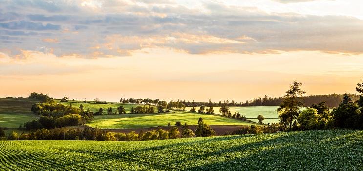 Picture of farm fields in PEI