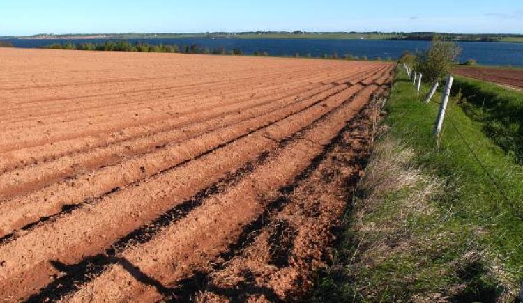 agriculture field in St. Peters, Prince Edward Island