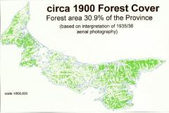 A map of PEI forest cover in 1900